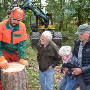 Tag des Schweizer Holes