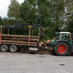 Tag des Schweizer Holzes