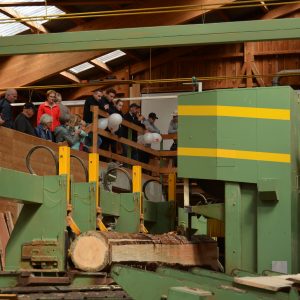 Tag des Schweizer Holzes